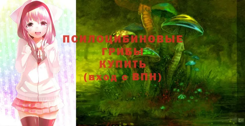 Псилоцибиновые грибы Cubensis  Нижняя Салда 