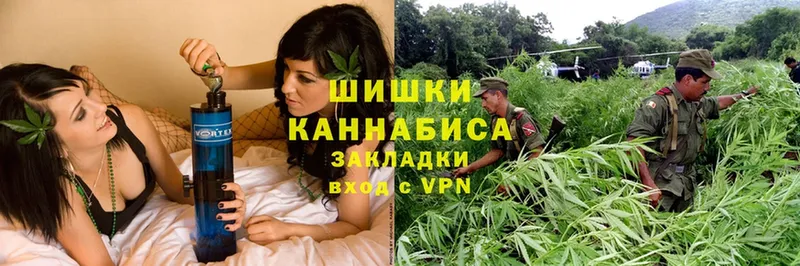 купить наркотики сайты  Нижняя Салда  Конопля OG Kush 